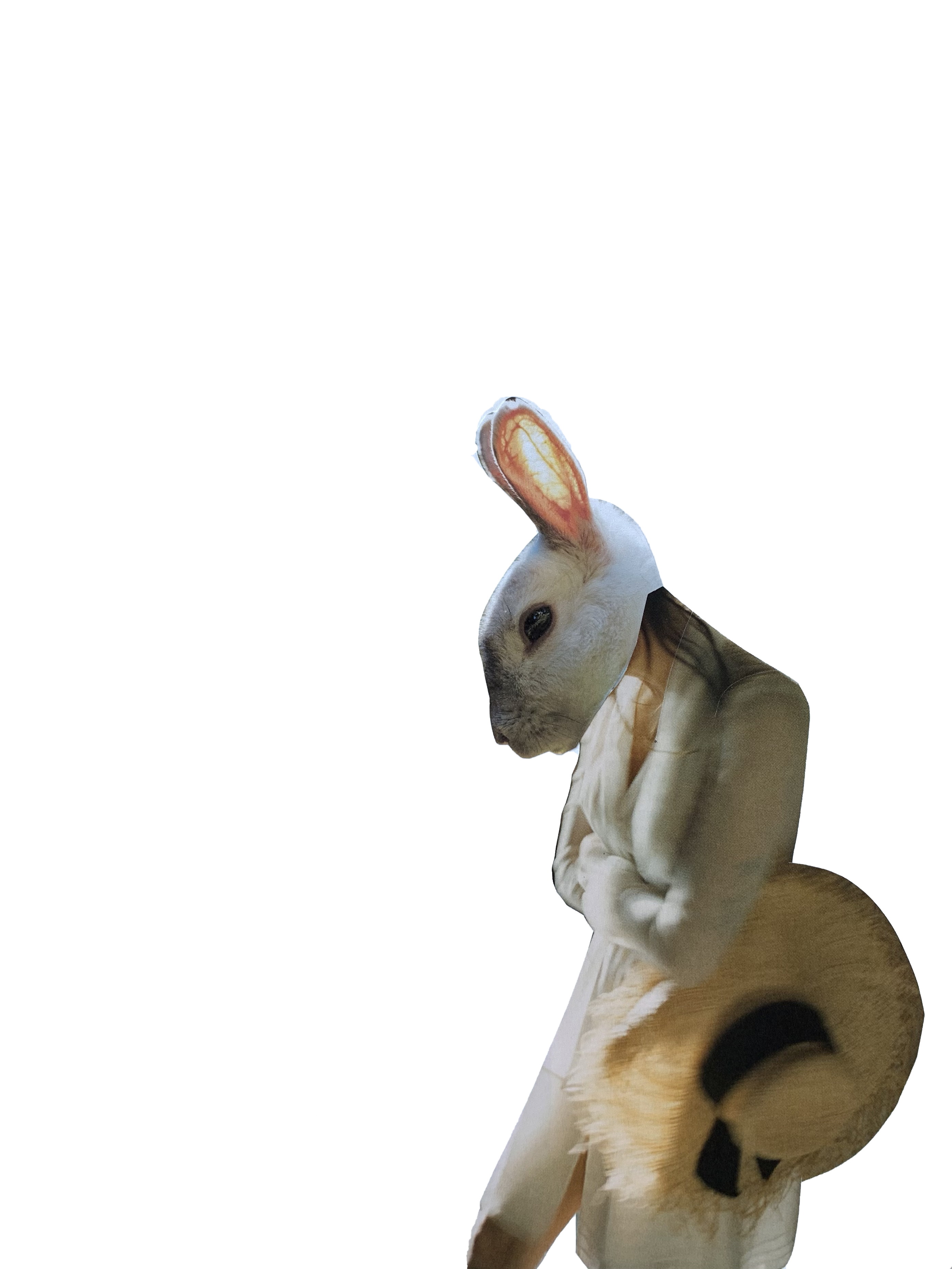 Little Ears, original collage